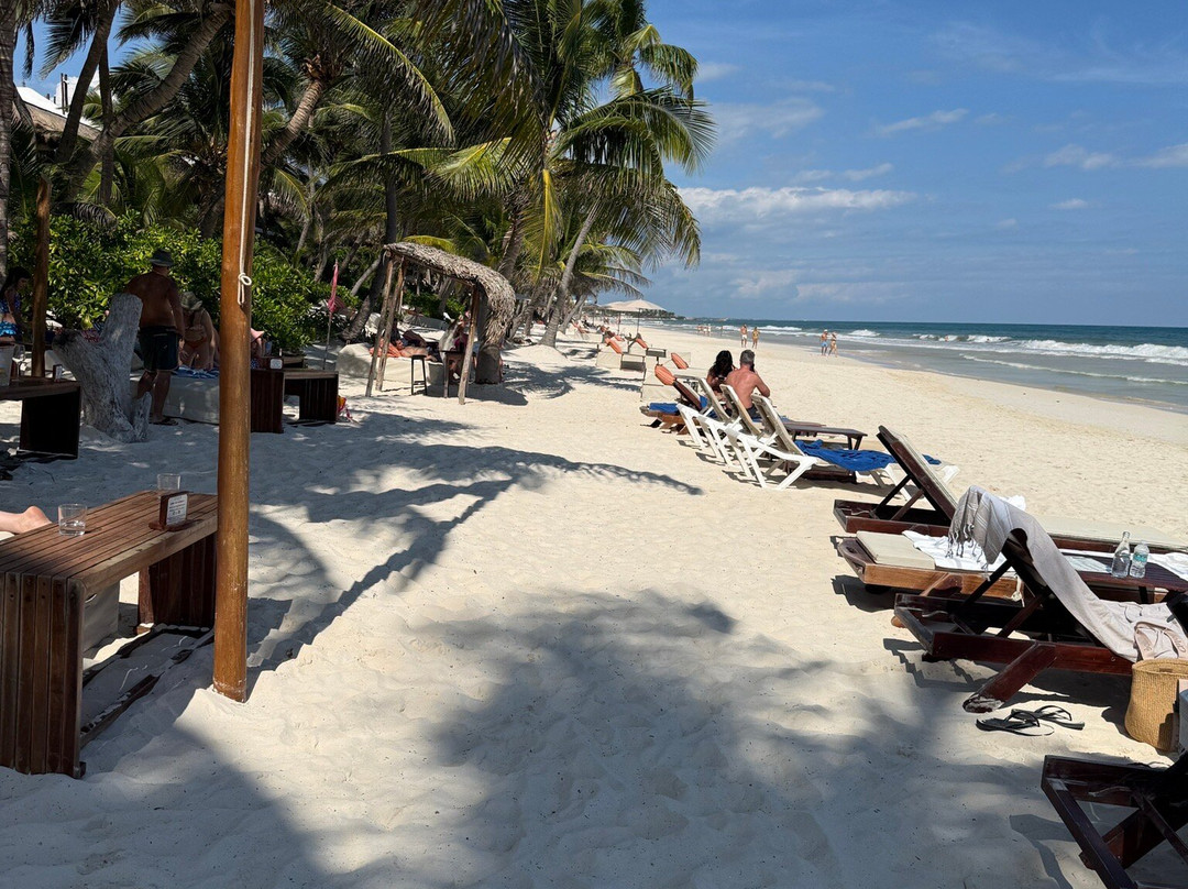 Ziggy’s Beach Club-图伦必去景点