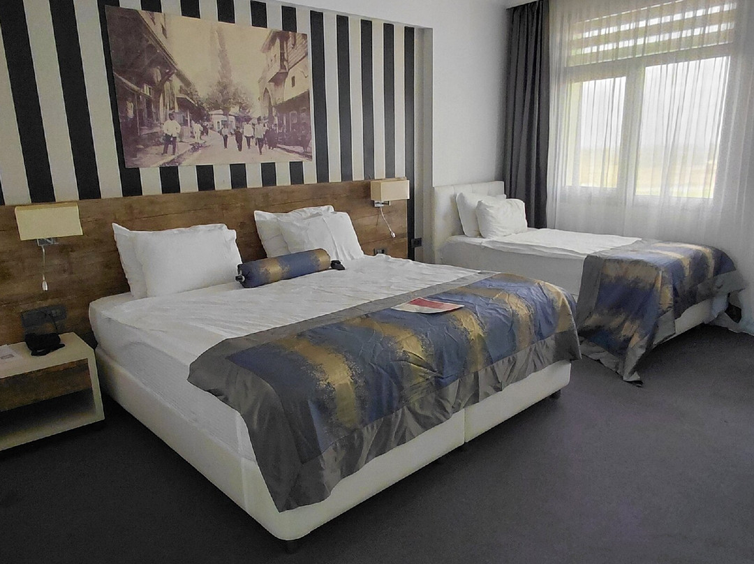 Ramada Hotel & Suites by Wyndham Edirne主图