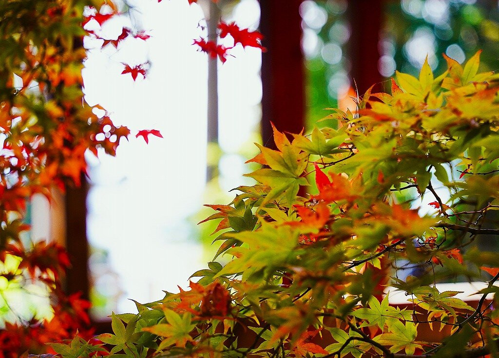 Chomeiji Temple-近江八幡市必去景点