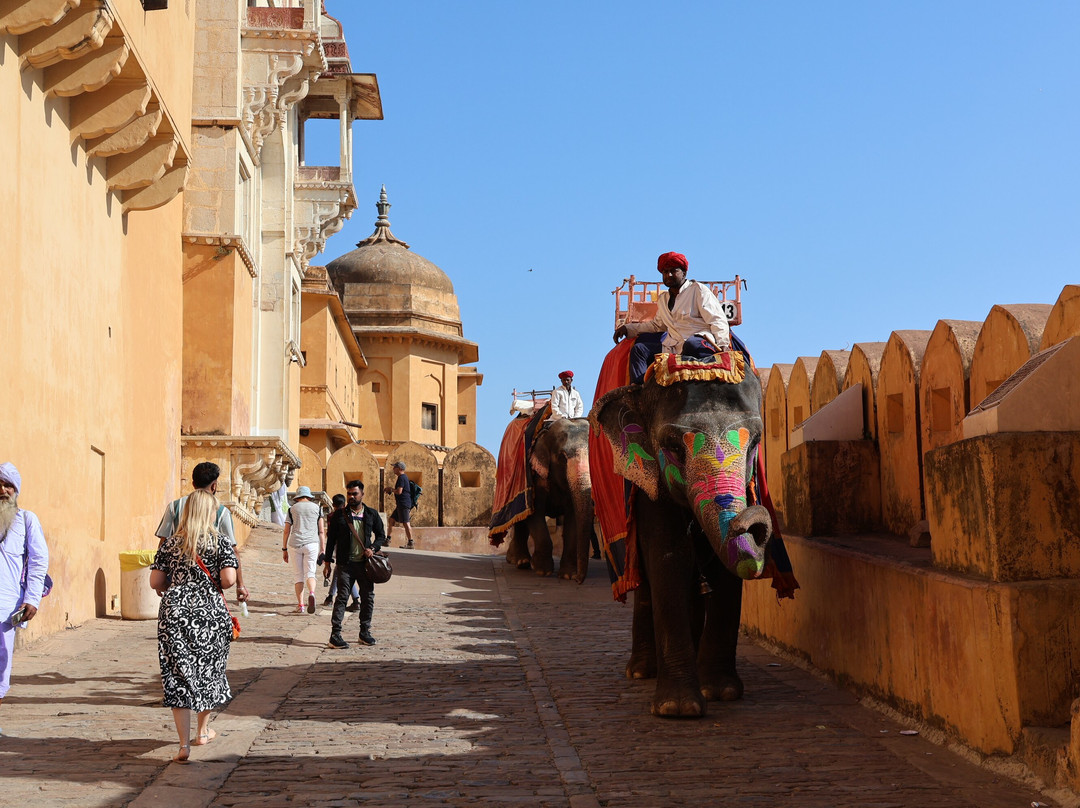 Rainbow Dream Travels-诺伊达必去景点