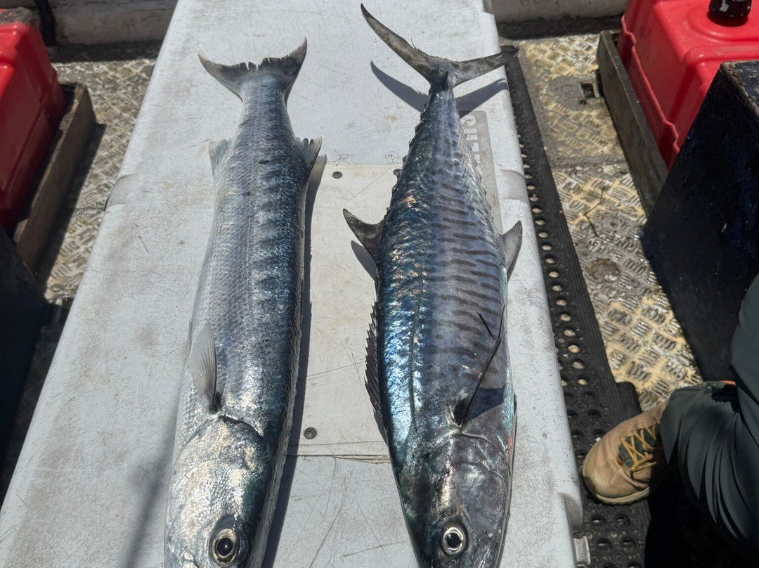 Sigatoka Fishing Charters-辛加东卡必去景点