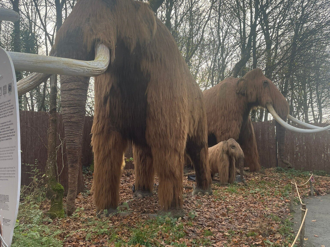 Terrariet-维森比约必去景点