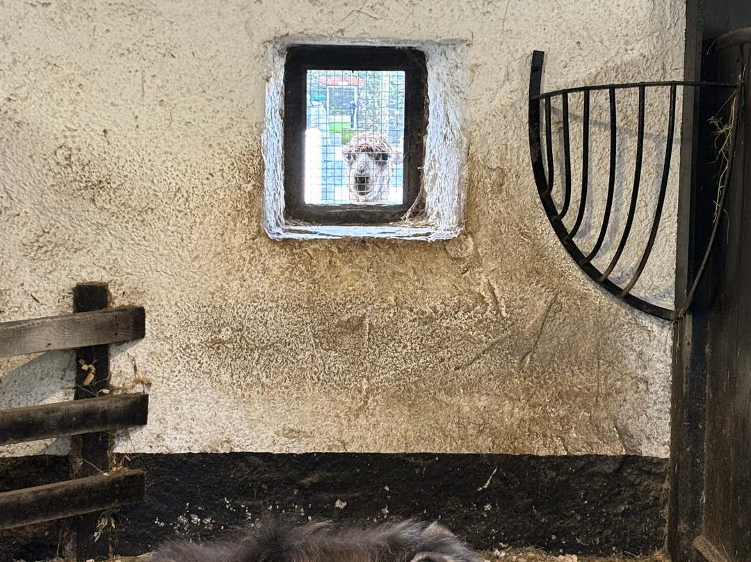 Newbridge House & Farm-Donabate必去景点