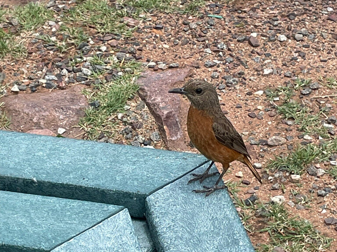 Marakele National Park-水堡必去景点