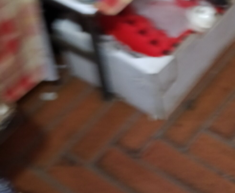 Pazari i Ri-地拉那必去景点