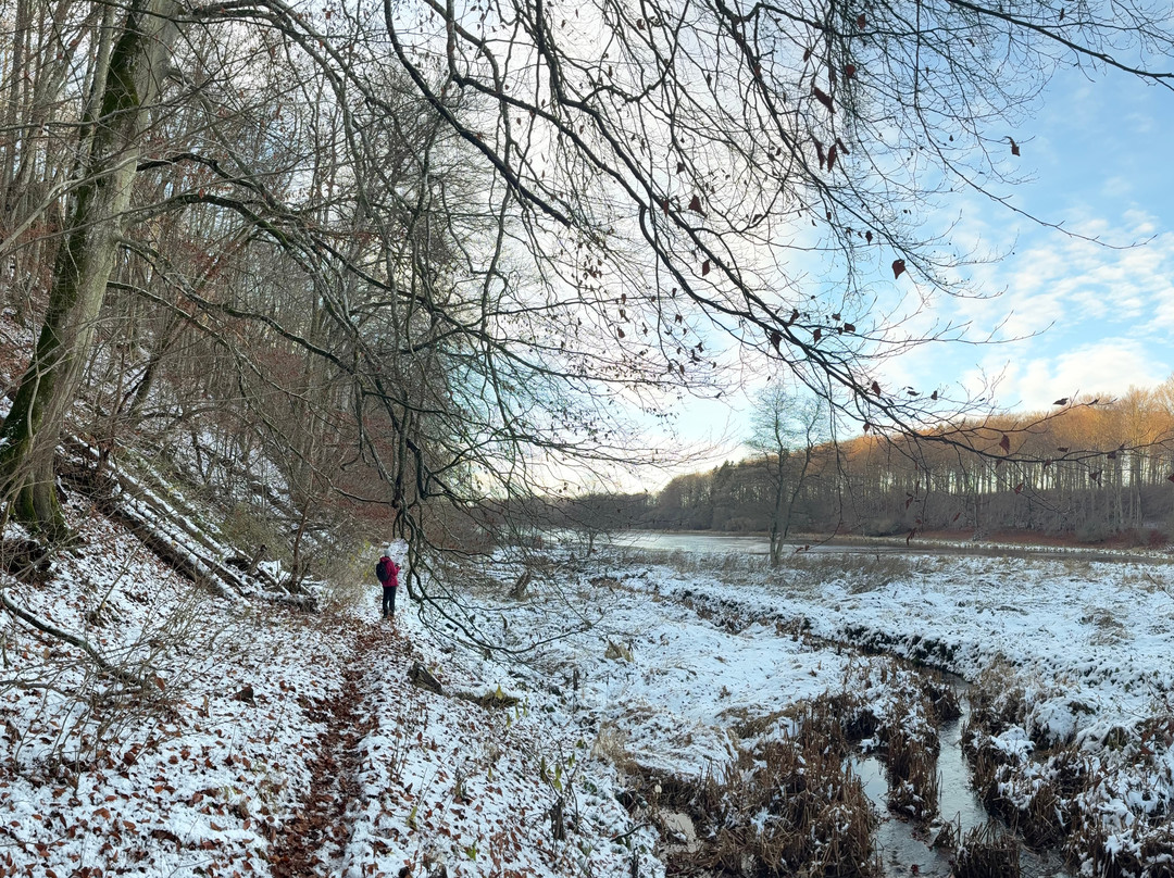 Naturreservat Frualid