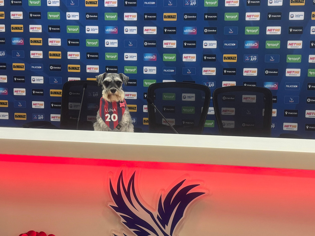 Selhurst Park Stadium Tours-伦敦必去景点