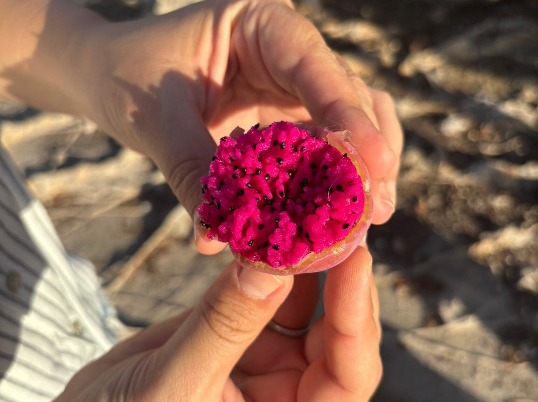 Guia Rafaell Sabino-Olho d'Agua do Casado必去景点