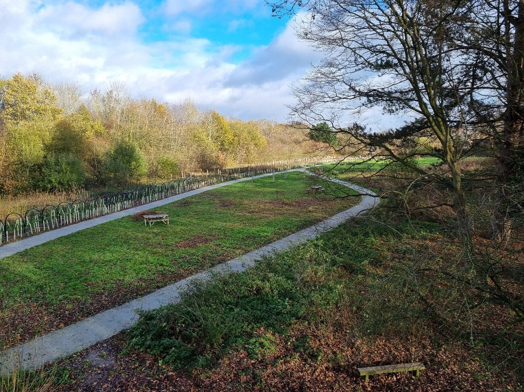 National Trust - Moseley Old Hall-沃尔夫汉普顿必去景点