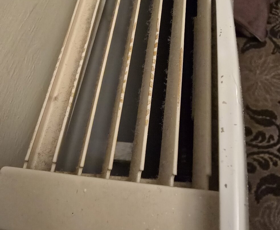 The Bull Hotel主图