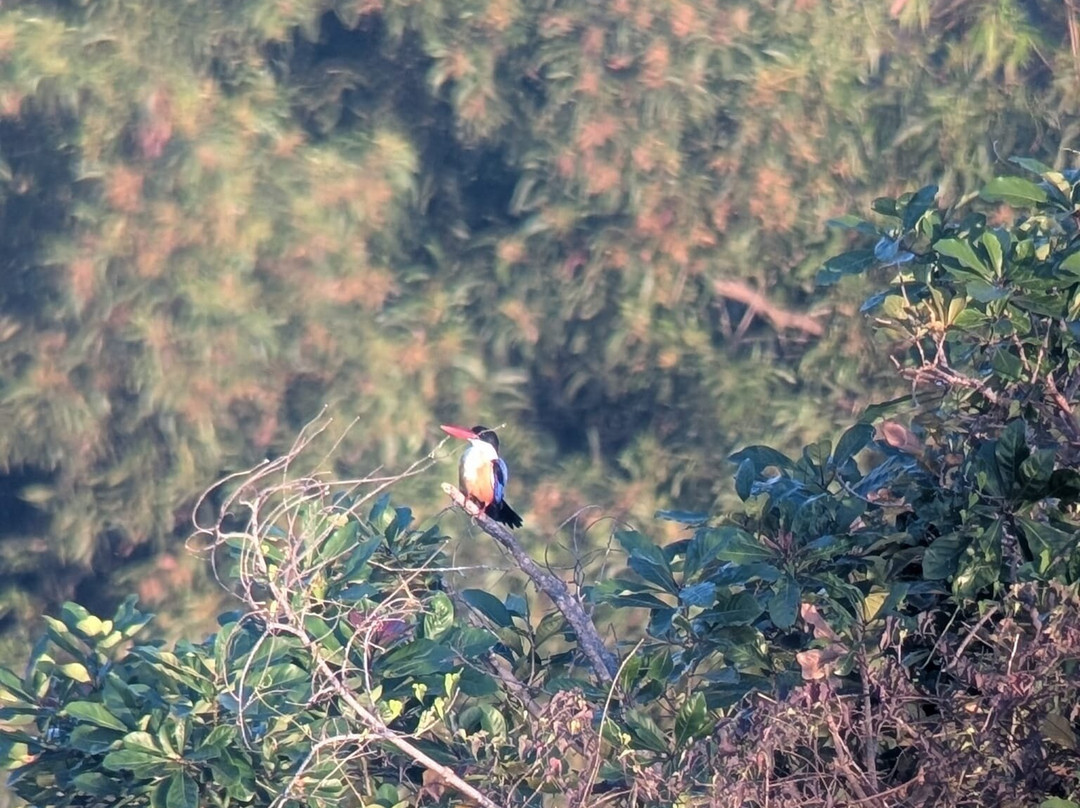 SVC野生动物保护区-暹粒必去景点