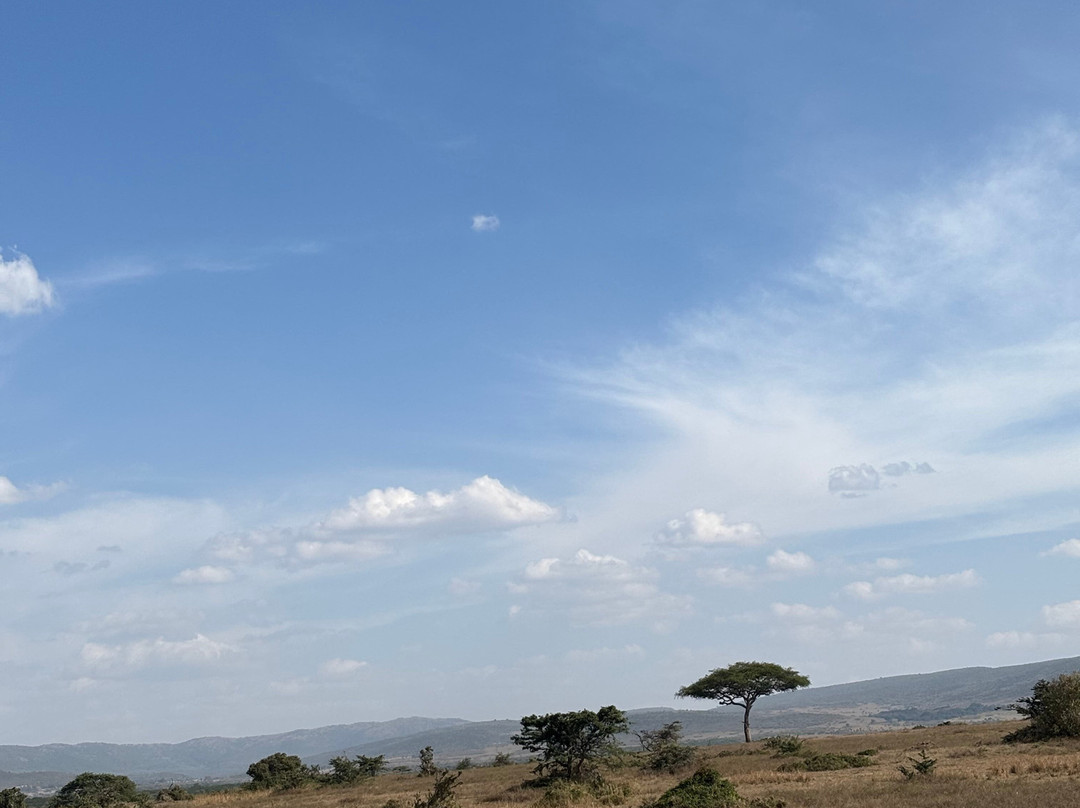 Safari Kenya Plus - Private Day Tour-马林地必去景点