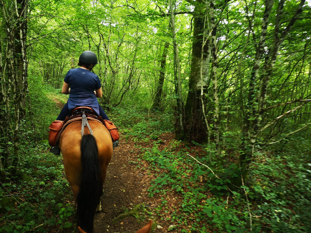Caval'Form-Chasselay必去景点