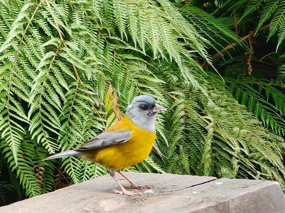 Termas del sol-Cochamo必去景点