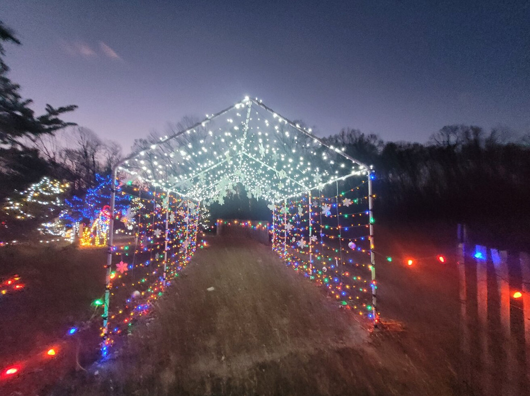 Indian Acres Tree Farm-Medford必去景点