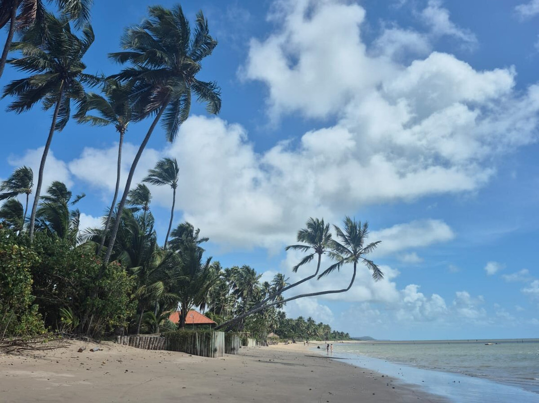 Piscinas Naturais-Sao Miguel dos Milagres必去景点