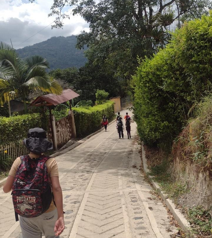 Finca Kasakumbre Specialty Coffee-San Francisco必去景点