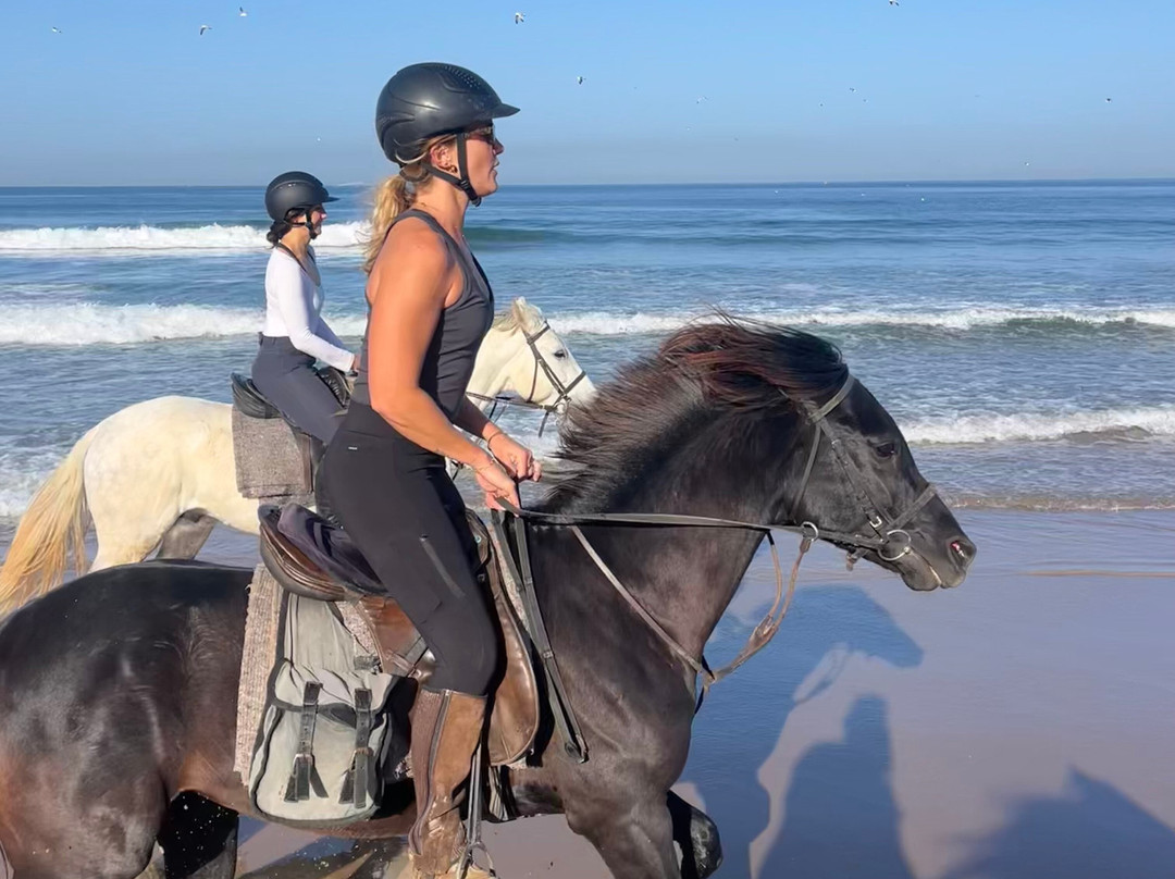 Cheval Agadir Ranch Acienda-奥瑞尔必去景点