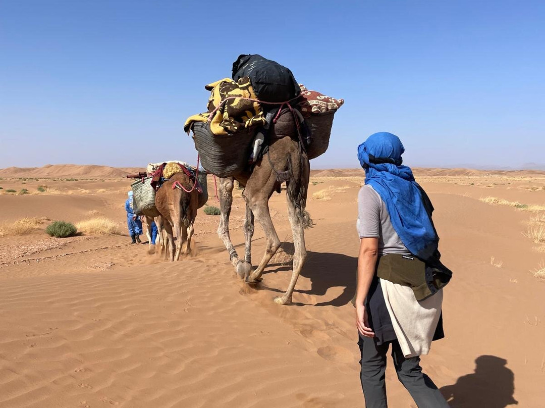 My Sahara Trek-迈哈米德必去景点