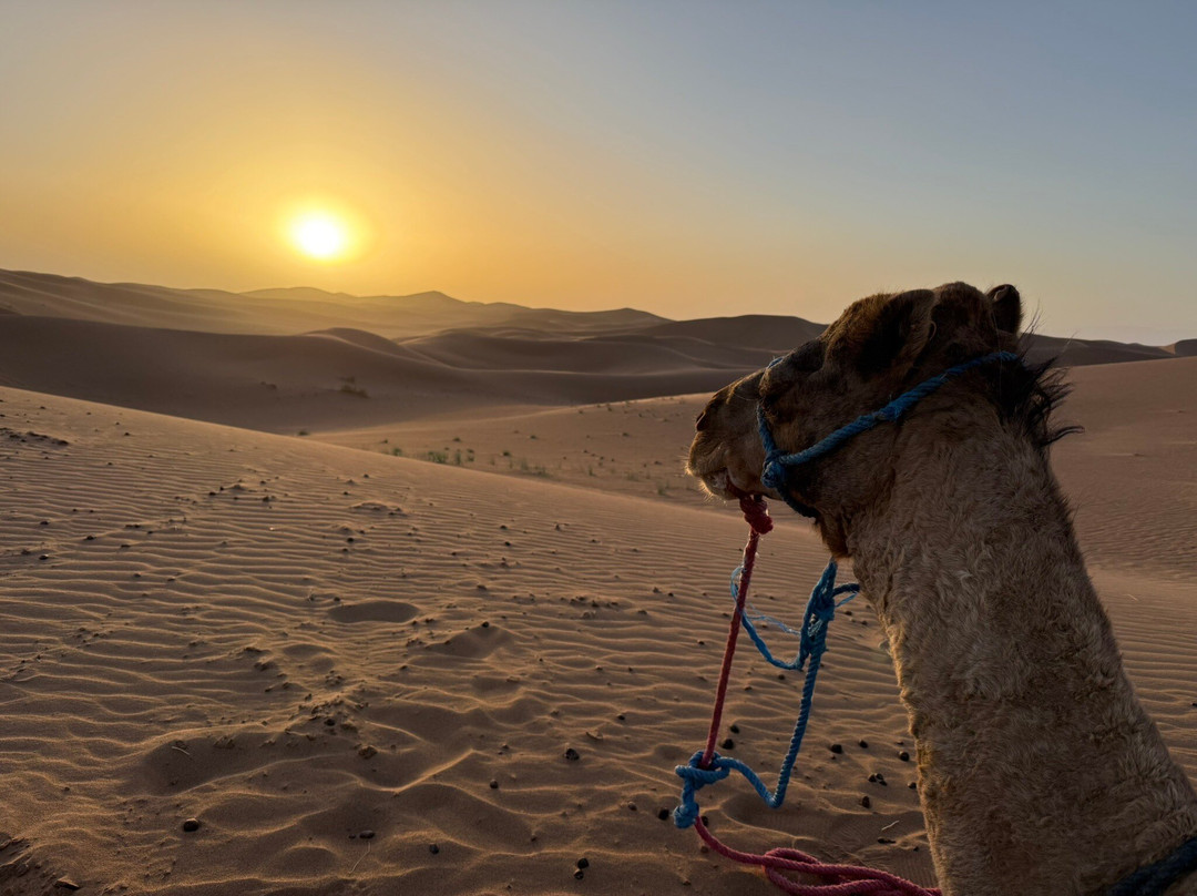 Spirit of Morocco-阿伊特·本·哈杜筑垒村必去景点