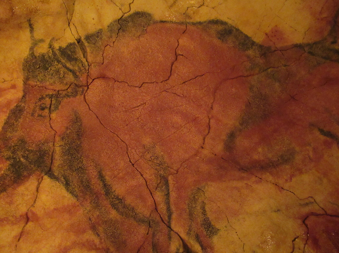 Museo de Altamira-海边的散提亚拿必去景点