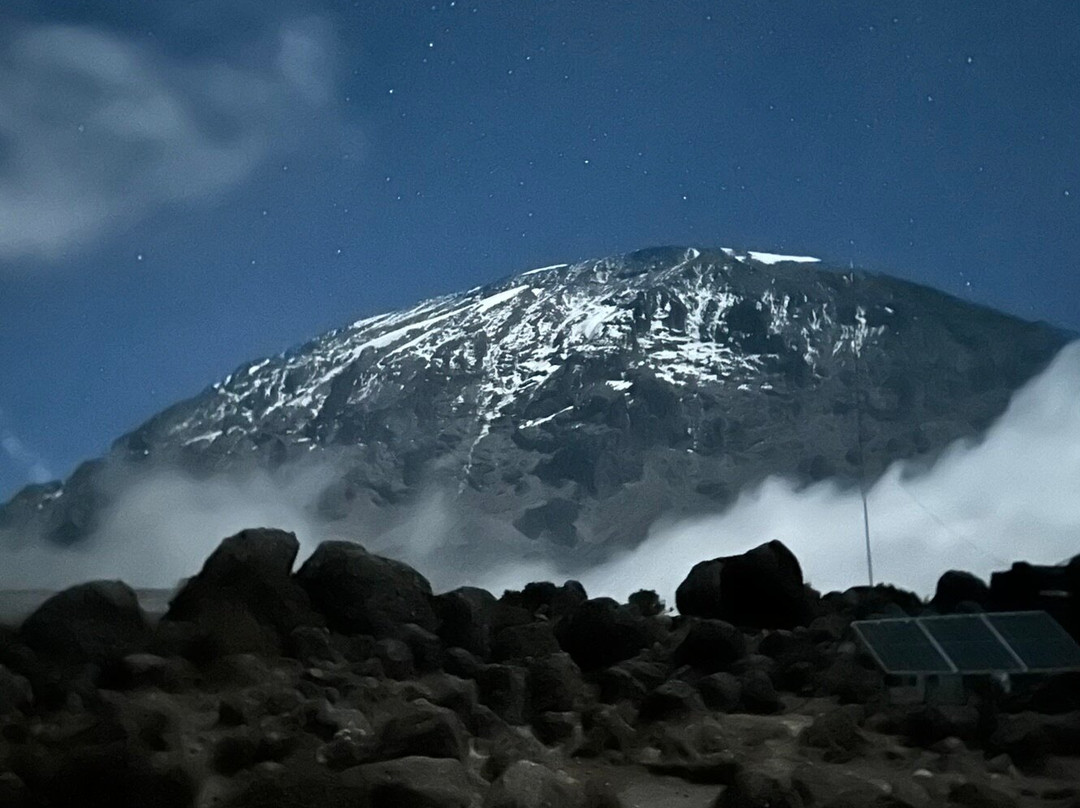 Dotcom Safaris Ltd-莫西必去景点