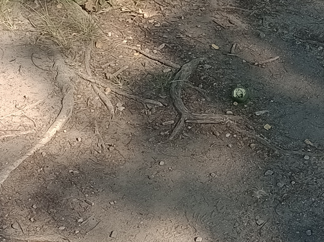 Parque Ecologico do Tiete-圣保罗必去景点