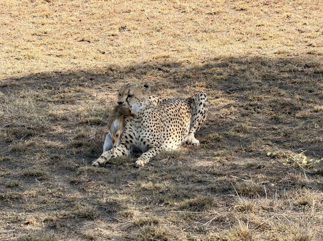 易捷旅游-一日游-阿鲁沙必去景点