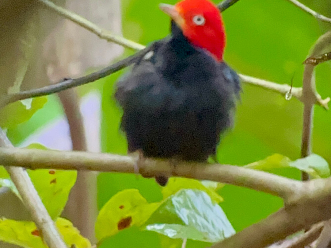 Piko Travel-艾拉杜拉必去景点