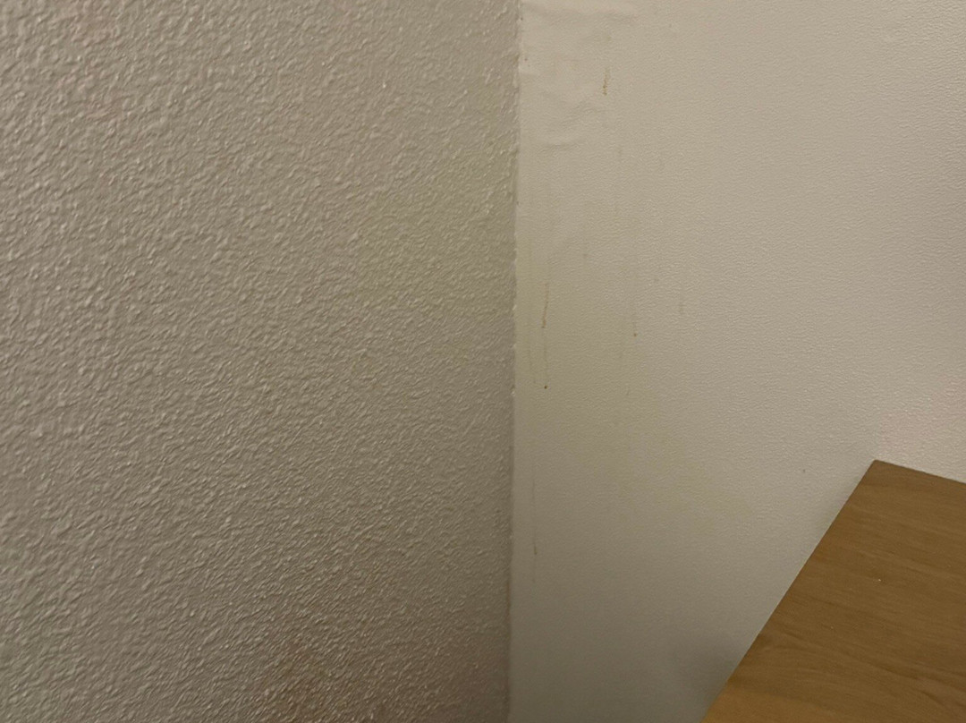 La Maison Mulhouse Centre主图