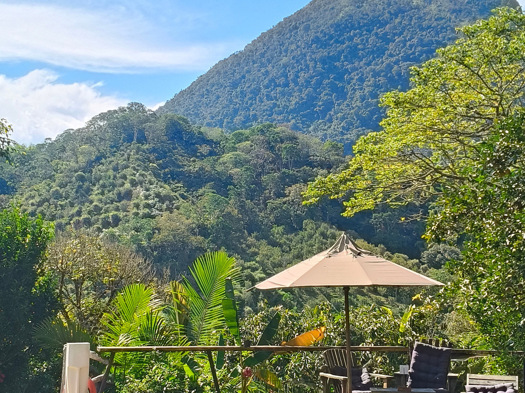 Cerro Tusa Springs主图