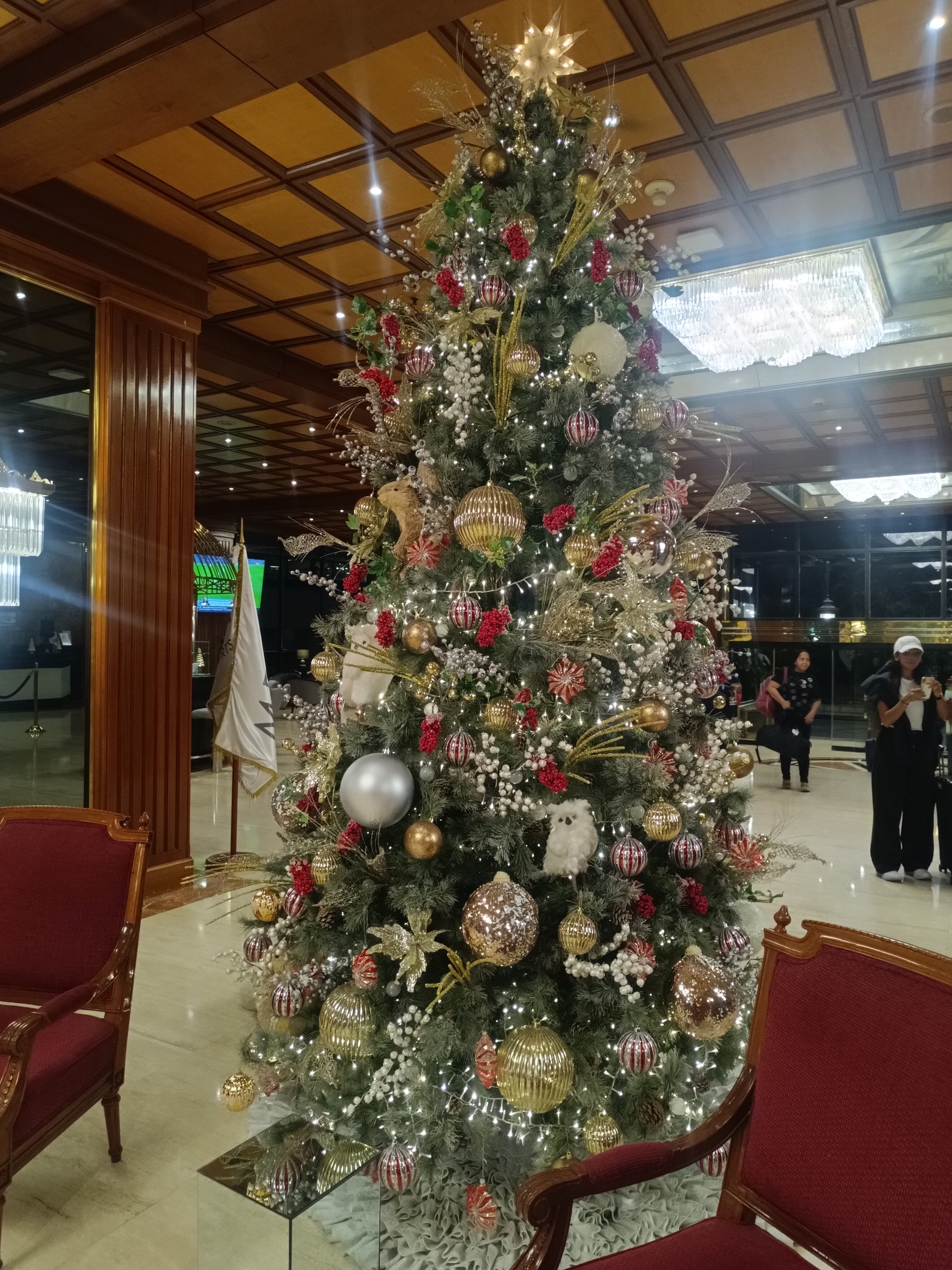 卡拉卡斯格兰梅里亚酒店-官方