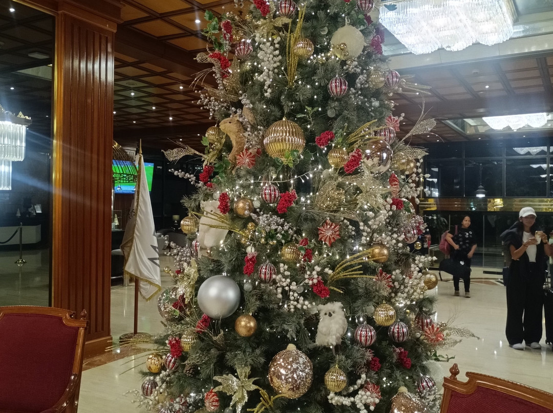 卡拉卡斯格兰梅里亚酒店主图