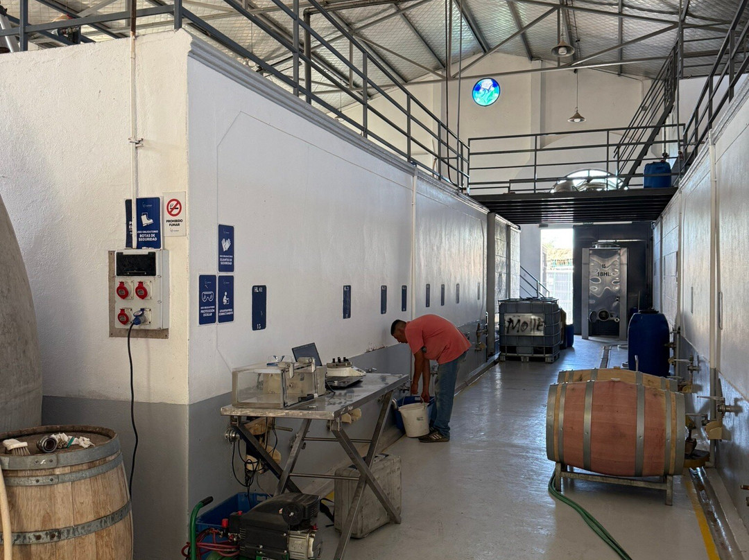 Bodega CarinaE-Maipu必去景点