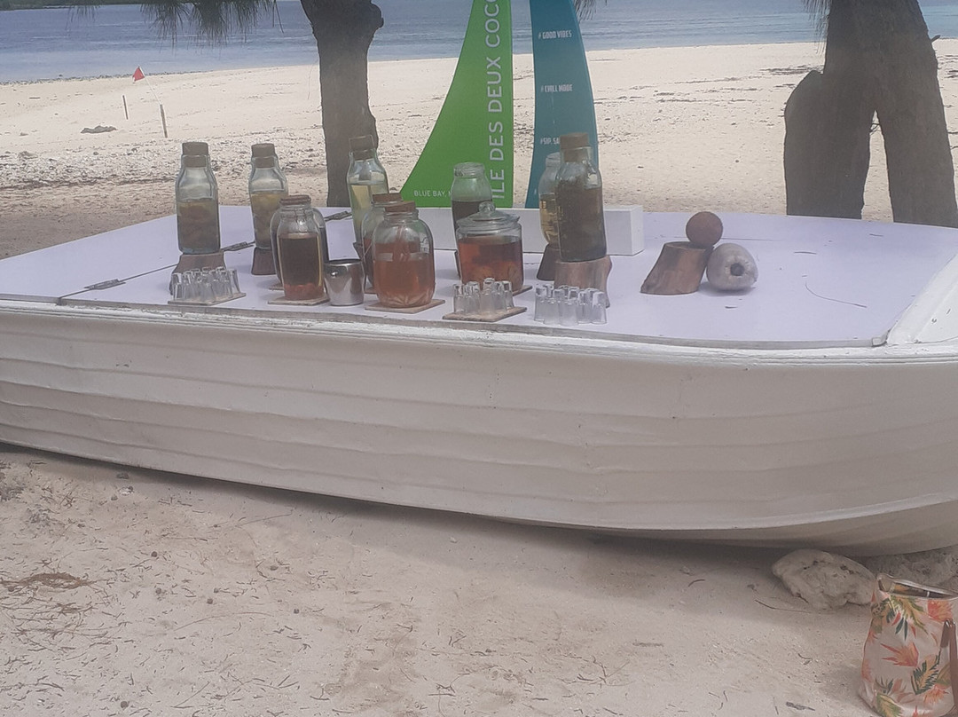 Excursion Ile Maurice-路易士港必去景点