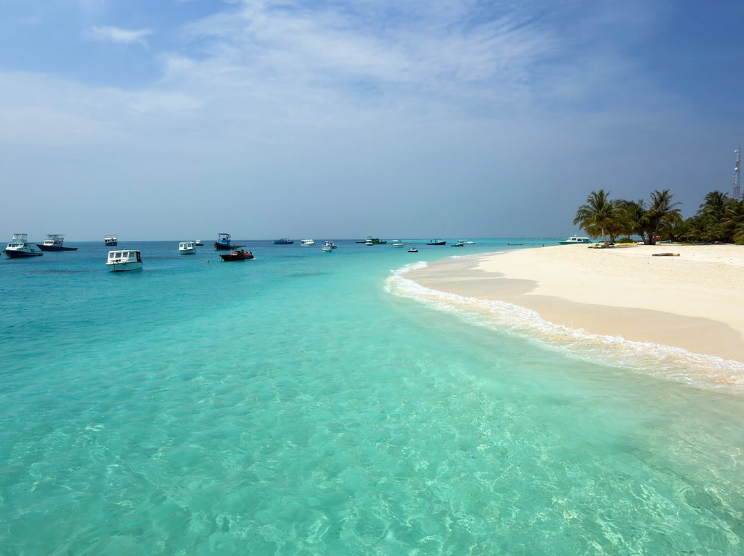 SHADOWPALM TOURS-马富士岛必去景点