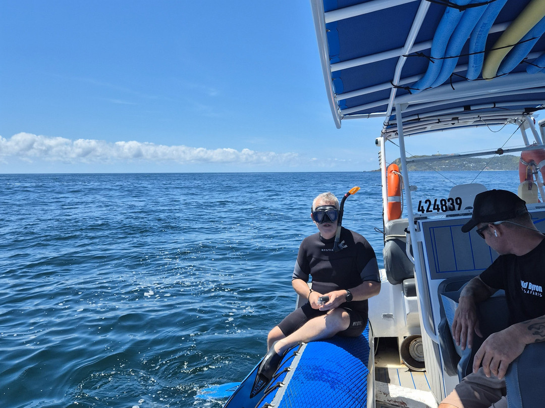 Wild Byron-拜伦湾必去景点