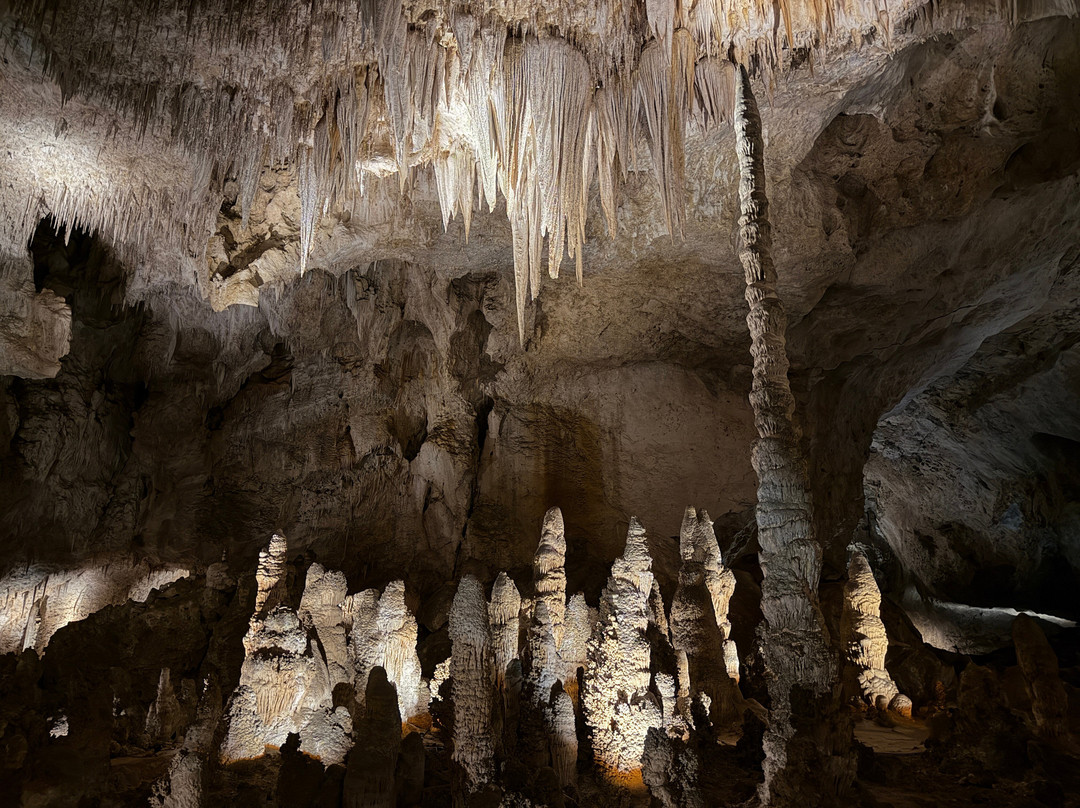 Bottomless Pit-卡尔斯巴德洞穴国家公园必去景点