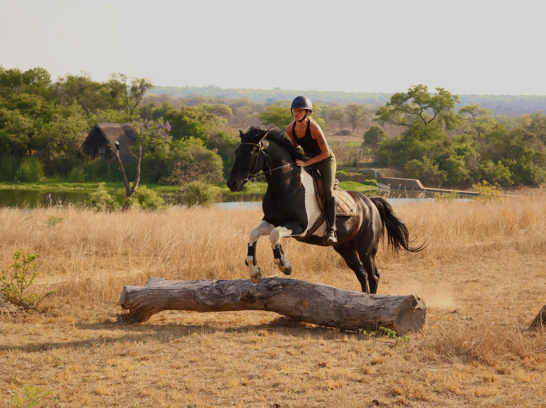 Antelope Park-圭洛必去景点