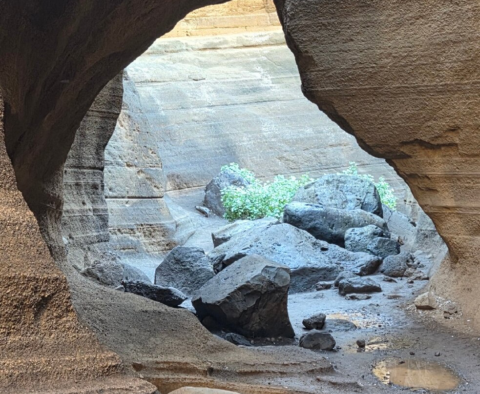 Barranco de Las Vacas-阿古伊梅斯必去景点