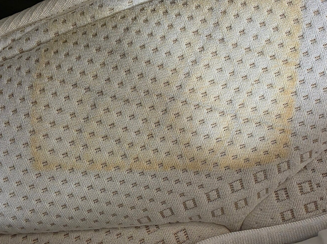 Willows Motel Goulburn主图