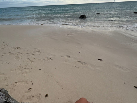 Playa Publica Dominicus-Bayahibe必去景点