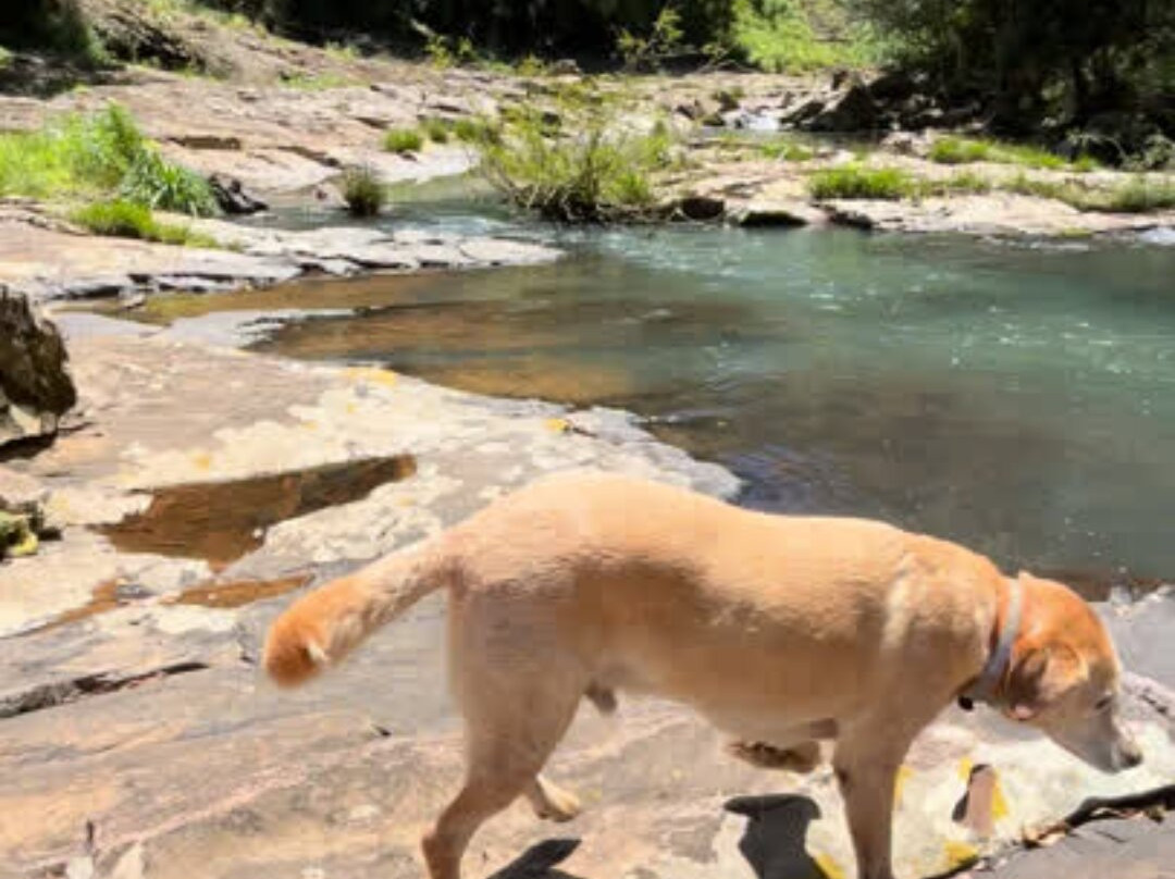 Pedra Furada (Antônio Prado)-Antônio Prado必去景点