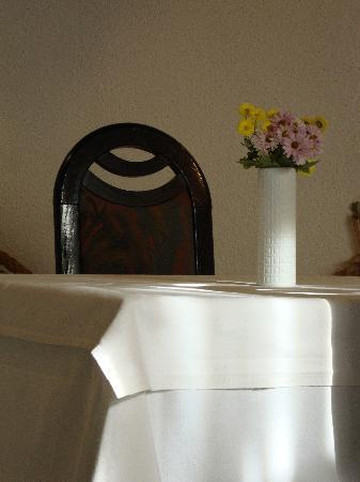 Pansion  Albin主图