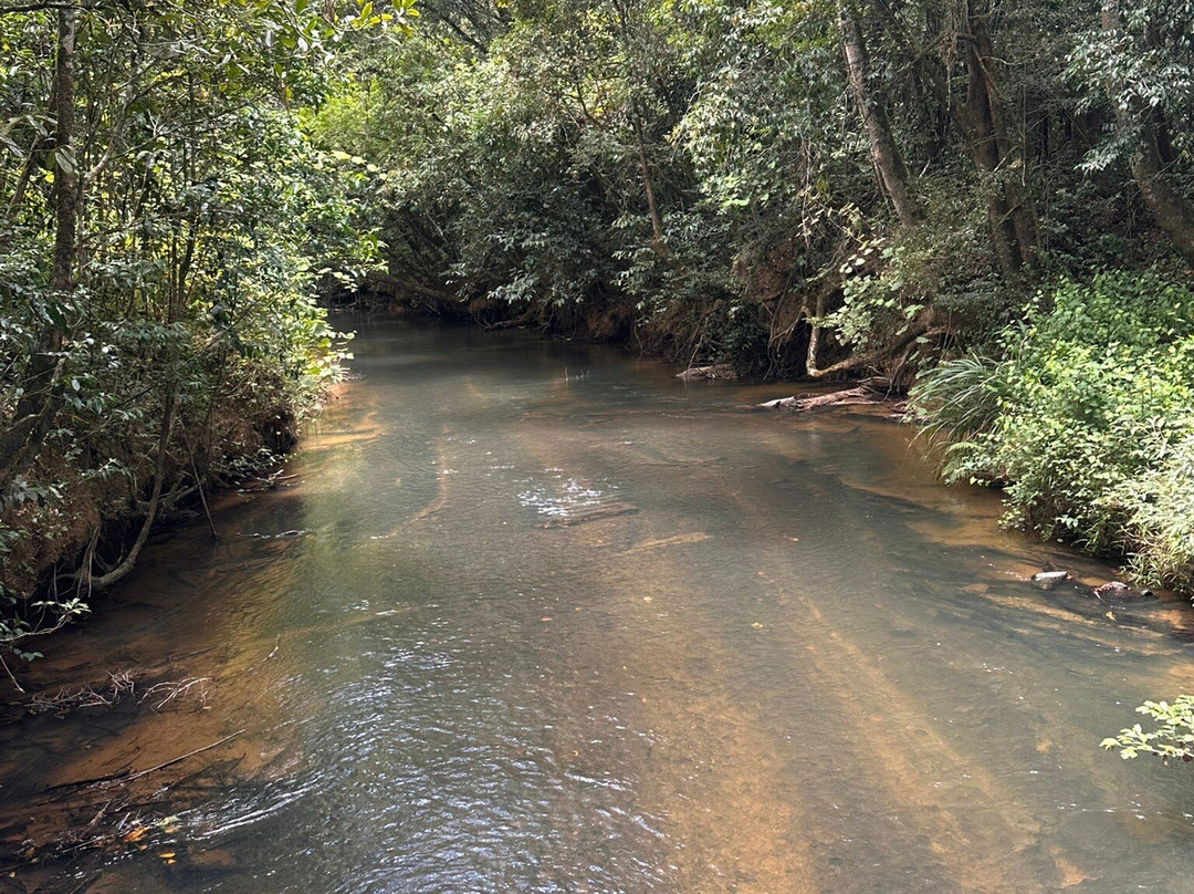 Viro Nomads Travel Co.-Ranomafana必去景点