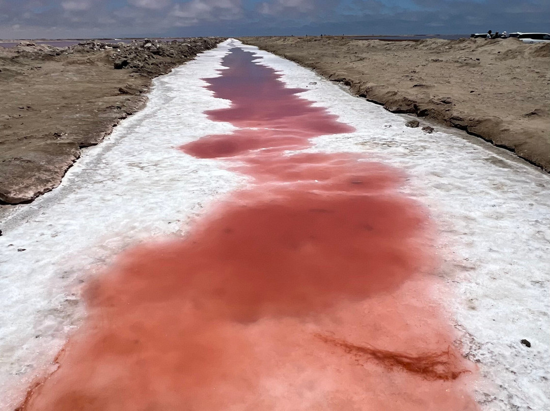 iVenture Sandwich Harbor Tours & Guides-华维斯湾必去景点