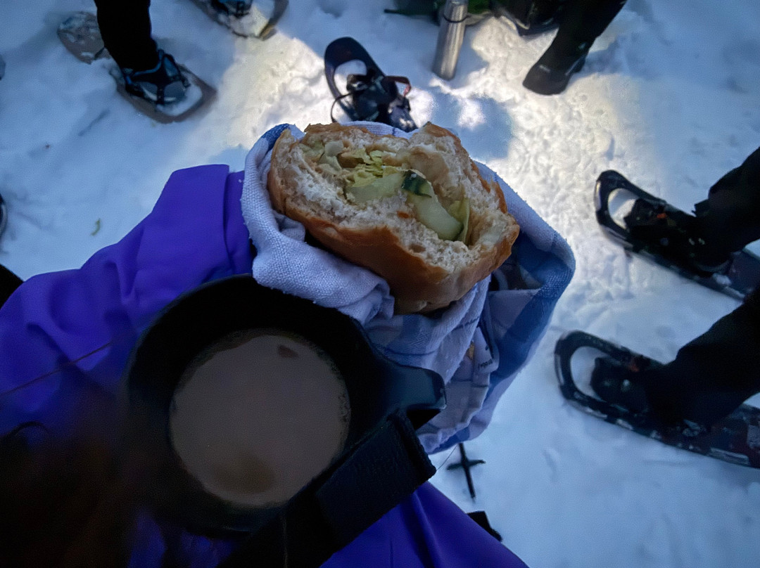 迷途夜鹰极光探索之旅-特罗姆瑟必去景点