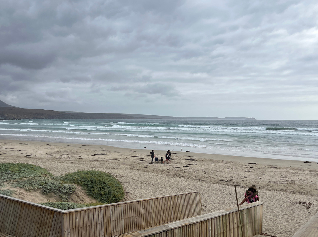 Playa Chigualoco-Los Vilos必去景点