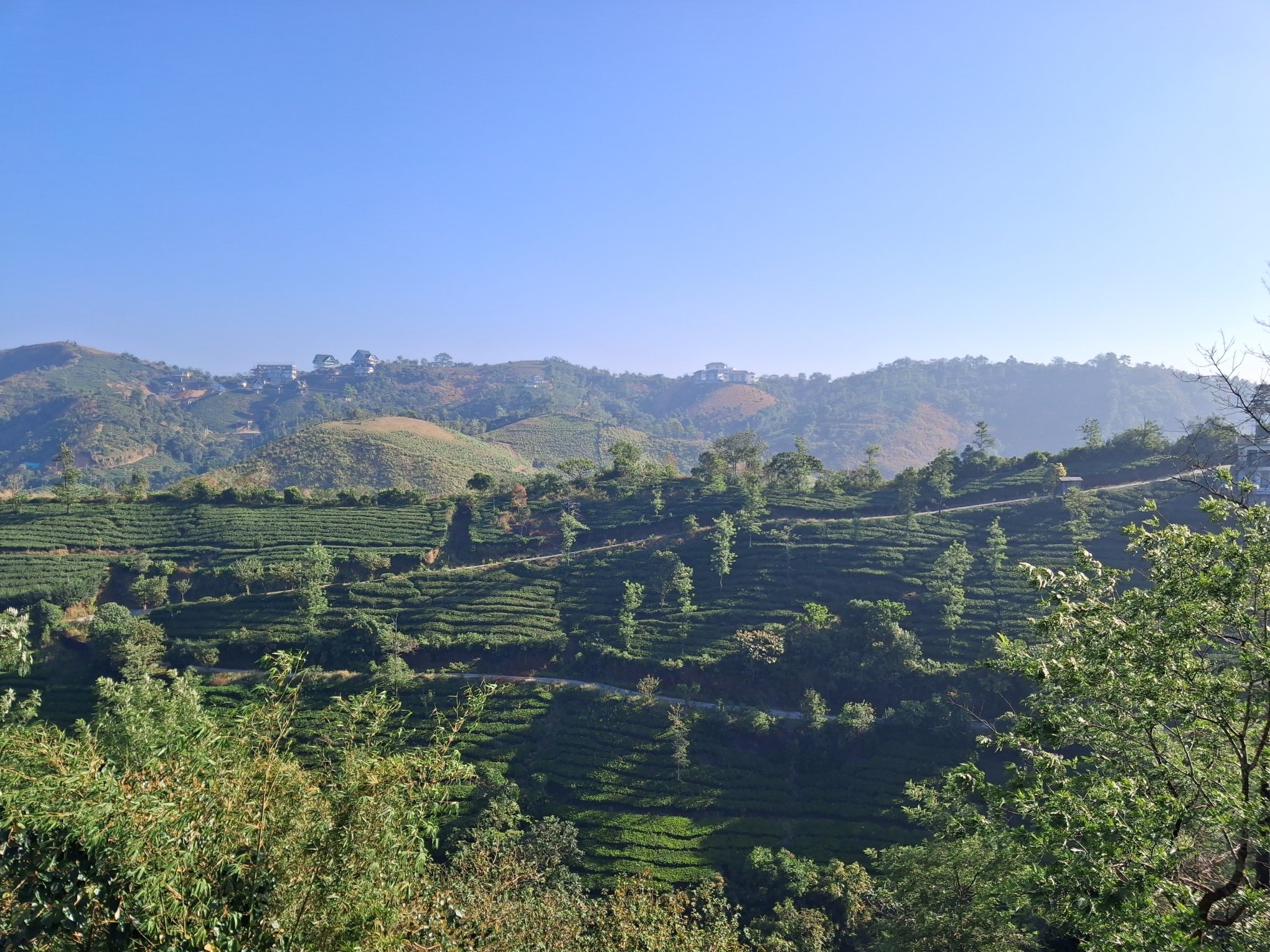 Falcon Crest-酒店景观