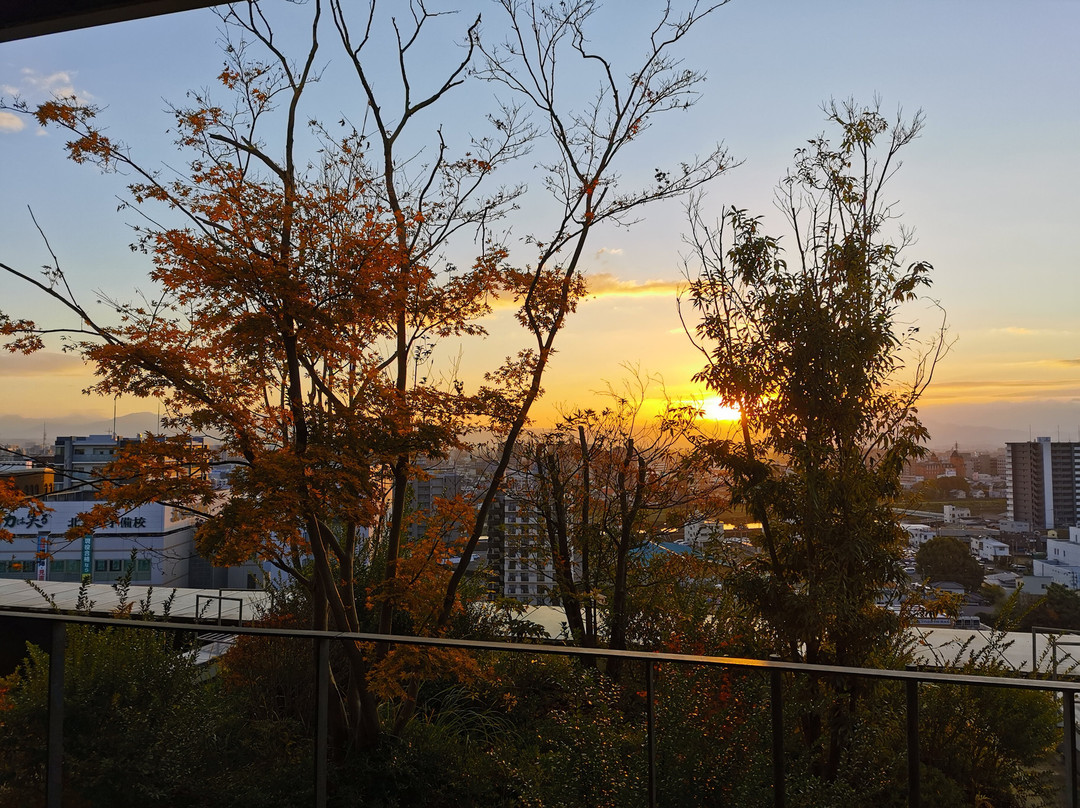 The Blossom Kumamoto